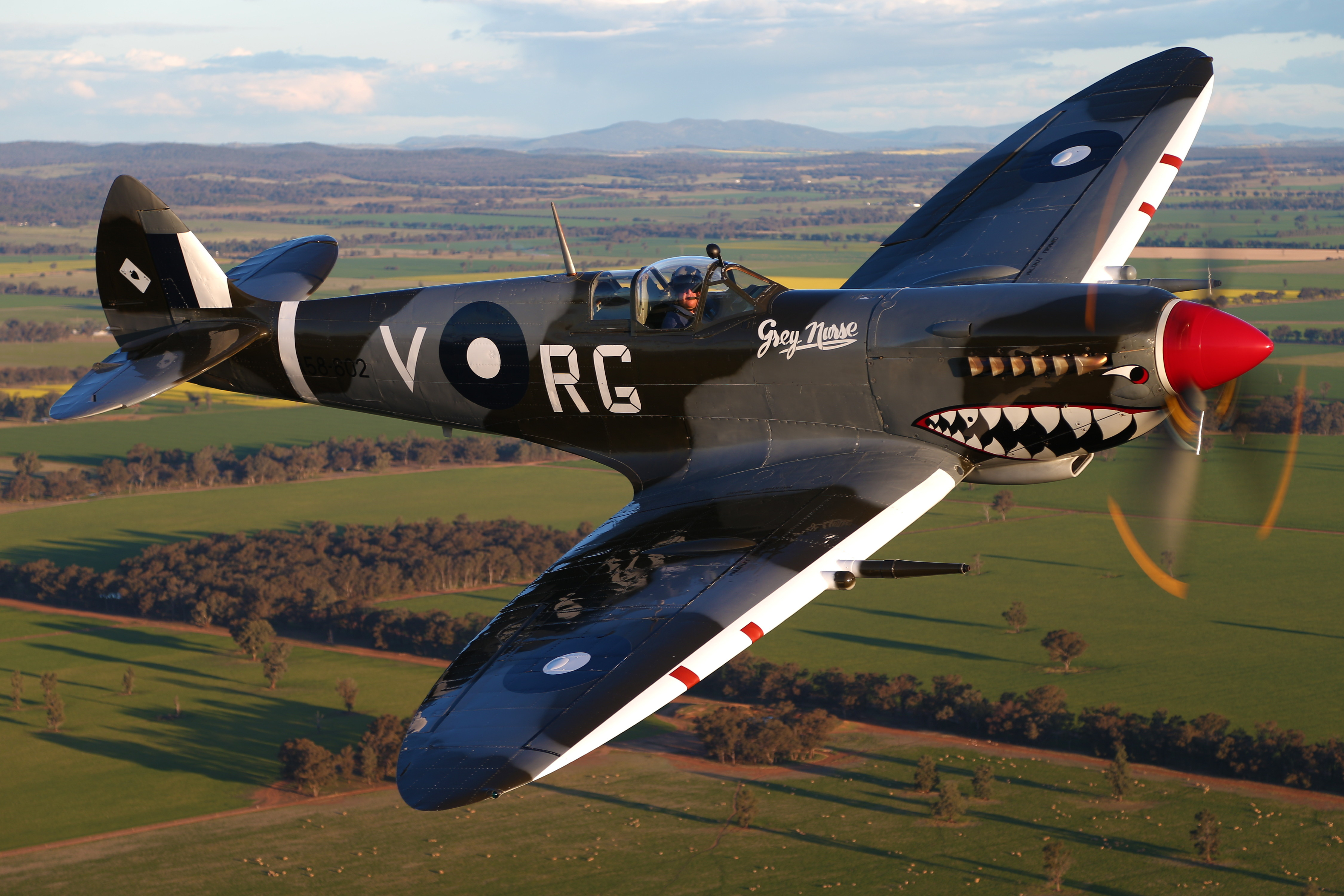 Spitfire Plane Spitfire Plane
